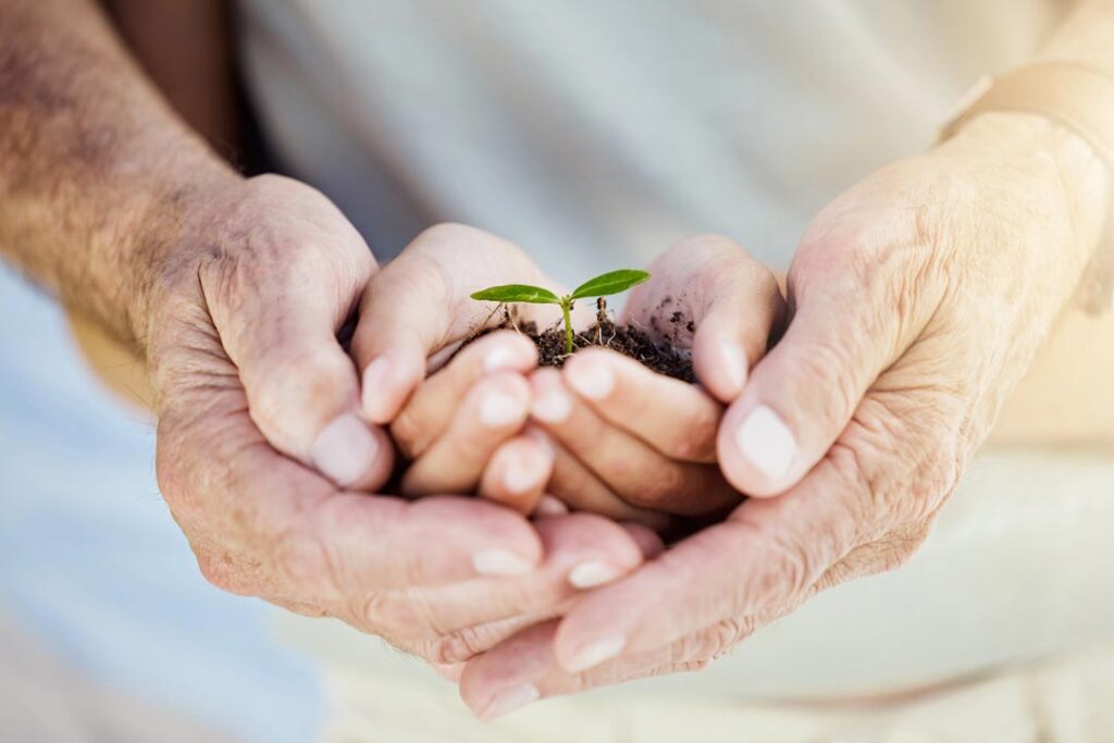 Testament/Vermächtnis. Unterstützung Benita Quadflieg Stiftung