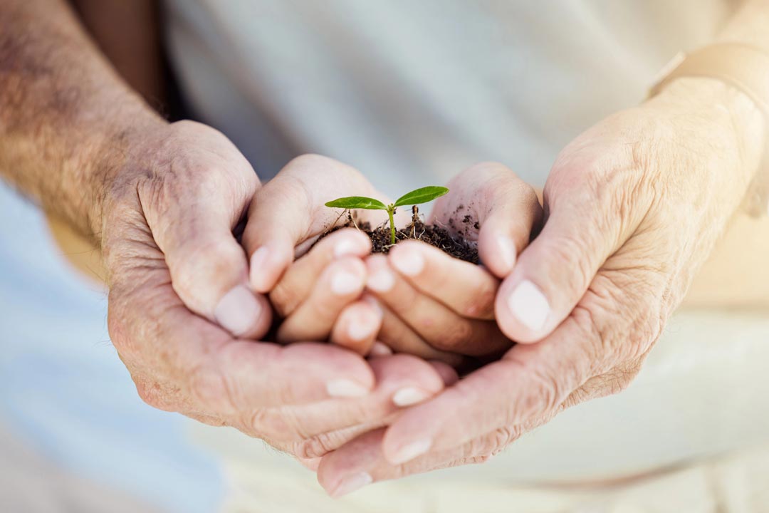 Testament-Vermaechtnis Testament/Vermächtnis. Unterstützung Benita Quadflieg Stiftung