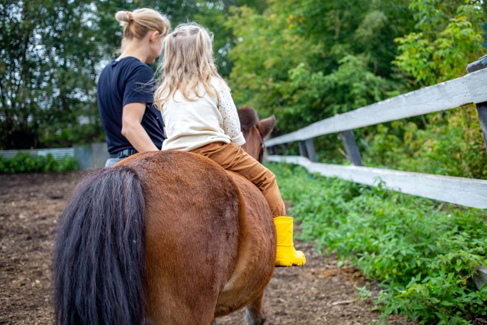 Spendenprojekt therapeutisches Reiten, Hamburg