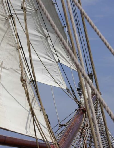 Traditionsschiff Fortuna auf See